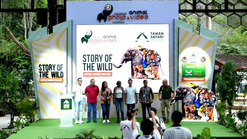 live streaming event, professional camera, video production