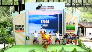 live streaming event, professional camera, video production