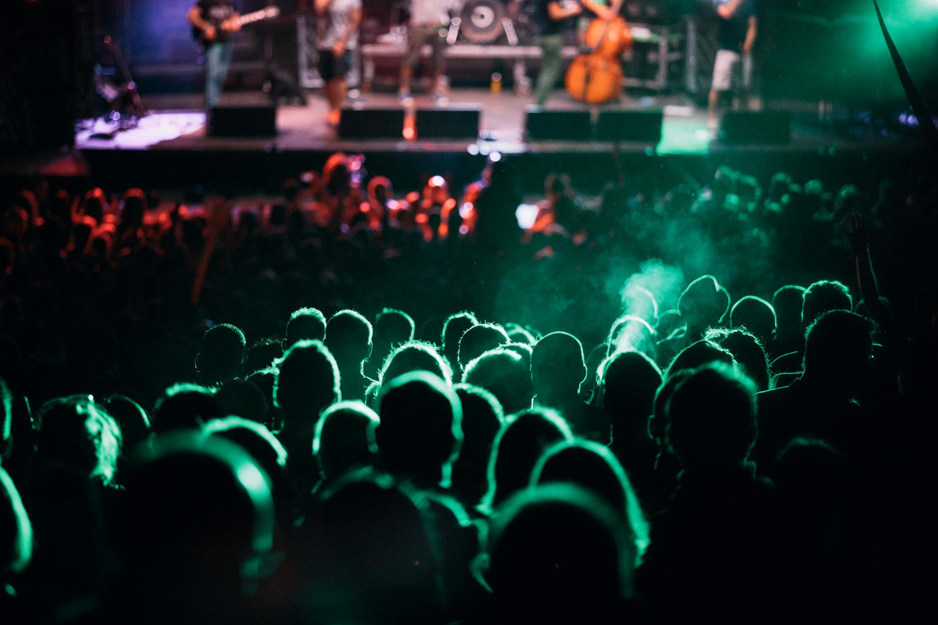A vibrant concert scene with a lively crowd experiencing live music at night.