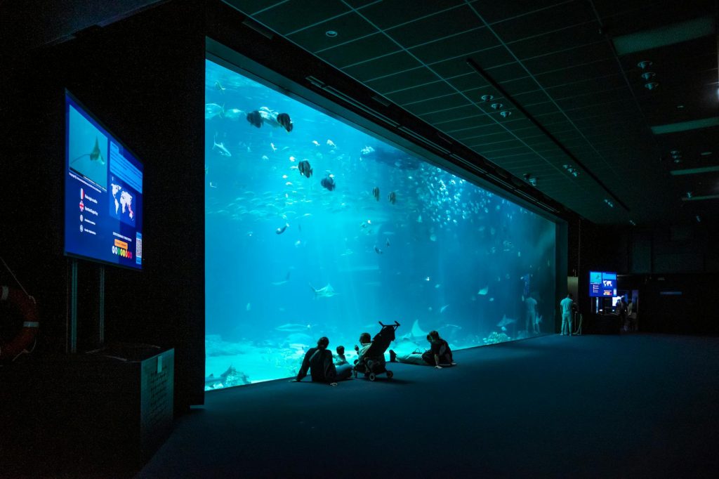 Visitors admire fish in a large aquarium exhibit in Boulogne-sur-Mer, France.