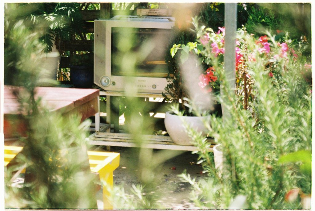 A nostalgic outdoor arrangement featuring a vintage TV amidst vibrant garden plants.