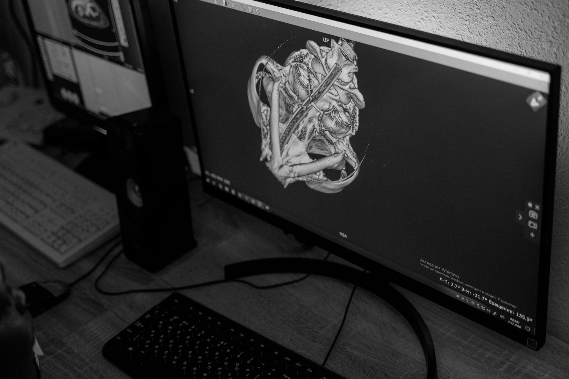 A black and white image of a skull on a computer monitor in a workspace.