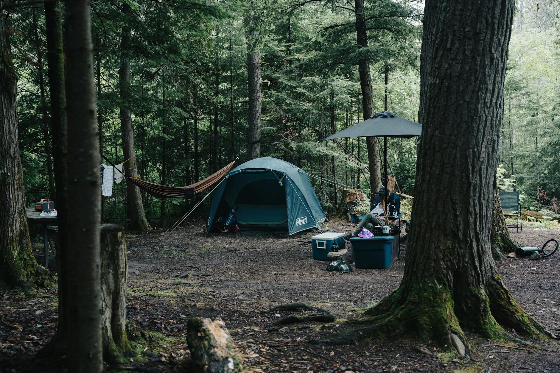 Tranquil forest camping site with a tent, hammock, and camping equipment surrounded by lush trees.