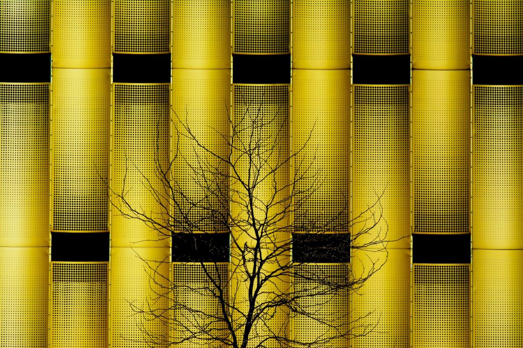 Minimalist photo of a bare tree silhouette against a striking yellow perforated wall.