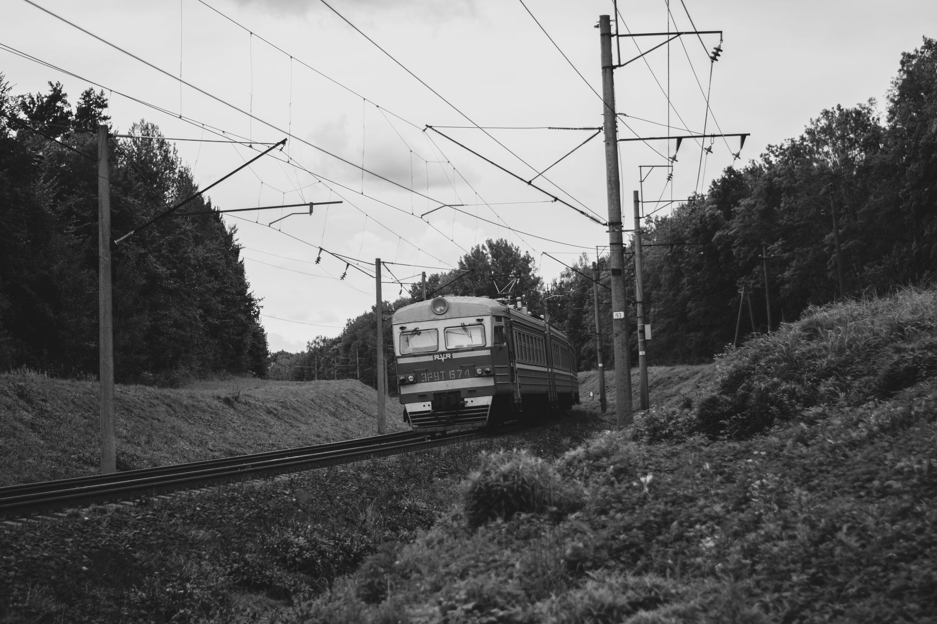 Electric train traveling through lush greenery on a scenic railway track in monochrome.